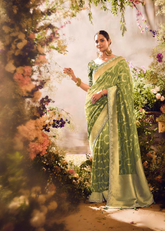 Green Banarasi Zari Tissue Saree with Sequin Border