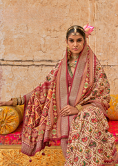 Royal Patola Saree with Dew Drop & Stud Work