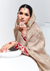 Beige Organza Saree with Embroidery & Sequins Work