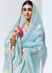 Pastel Blue Organza Saree with Sequin Embroidery