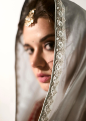 Silver Grey Saree with Wine Embroidered Blouse