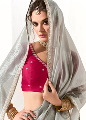 Silver Grey Saree with Wine Embroidered Blouse