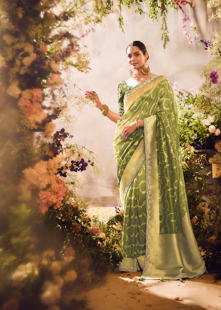 Green Banarasi Zari Tissue Saree with Sequin Border