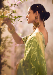 Green Banarasi Zari Tissue Saree with Sequin Border