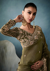 Olive Green Ho Tissue Saree with Handwork Border & Satin Blouse